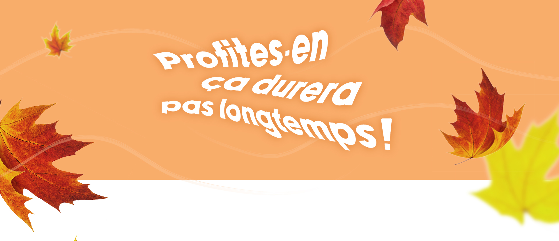 Promo Été 2023
